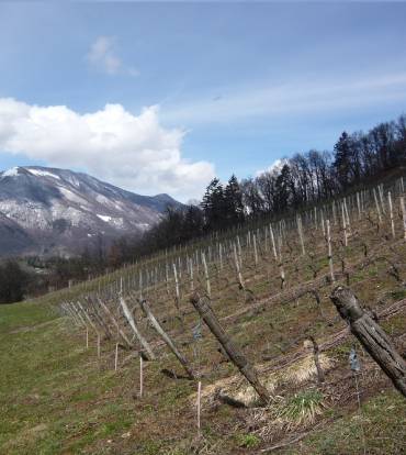 SAMEDI 16 NOVEMBRE 2019 – Domaine des Ardoisières – Vins de Savoie