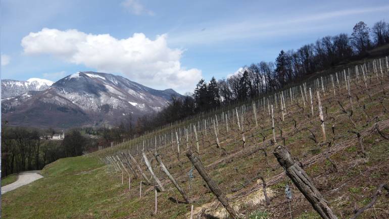 SAMEDI 16 NOVEMBRE 2019 – Domaine des Ardoisières – Vins de Savoie
