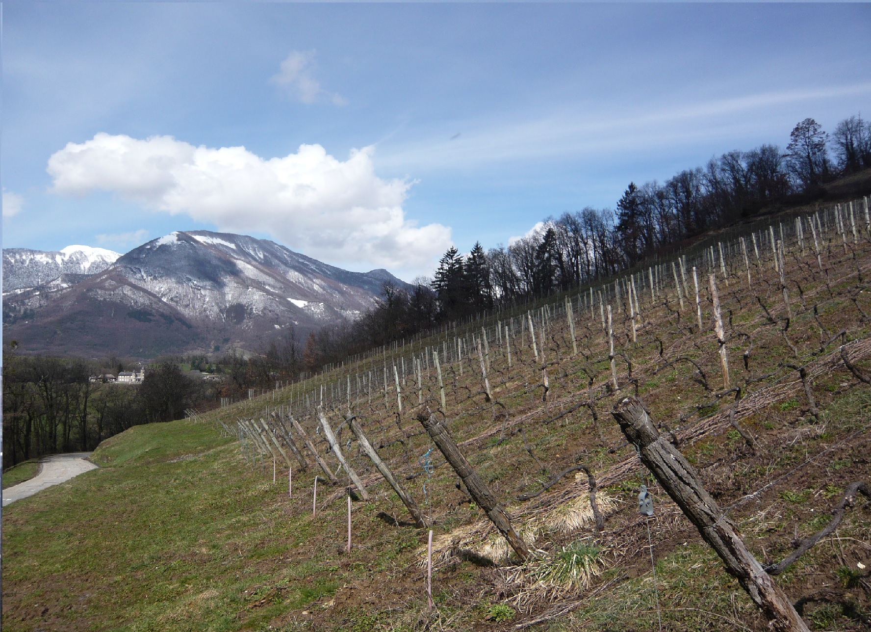 SAMEDI 16 NOVEMBRE 2019 – Domaine des Ardoisières – Vins de Savoie
