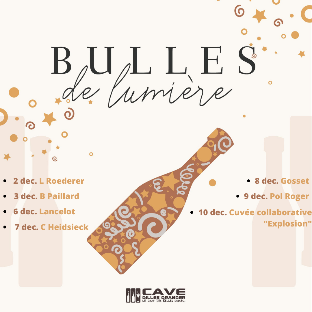 Du Vendredi 2 au samedi 10 Décembre 2022 – Bulles de lumière