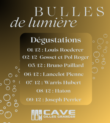 Du Vendredi 1er au samedi 9 Décembre 2023 – Bulles de lumière