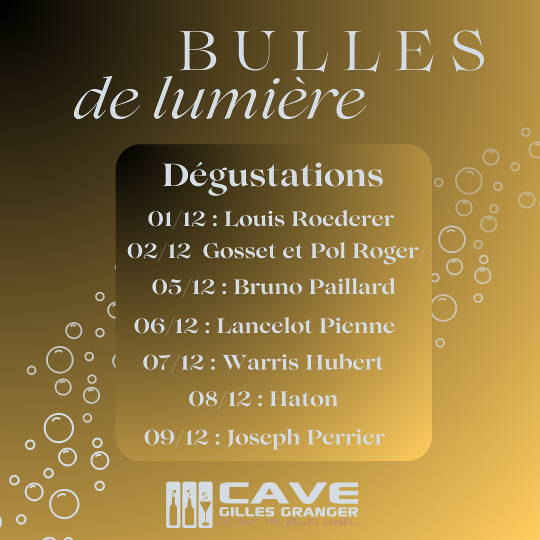 Du Vendredi 1er au samedi 9 Décembre 2023 – Bulles de lumière