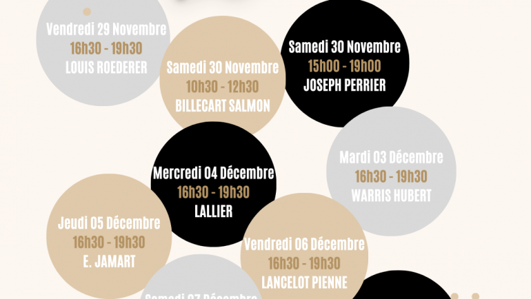 Du Vendredi 29 Novembre au Samedi 07 Décembre 2024 – Bulles de lumière