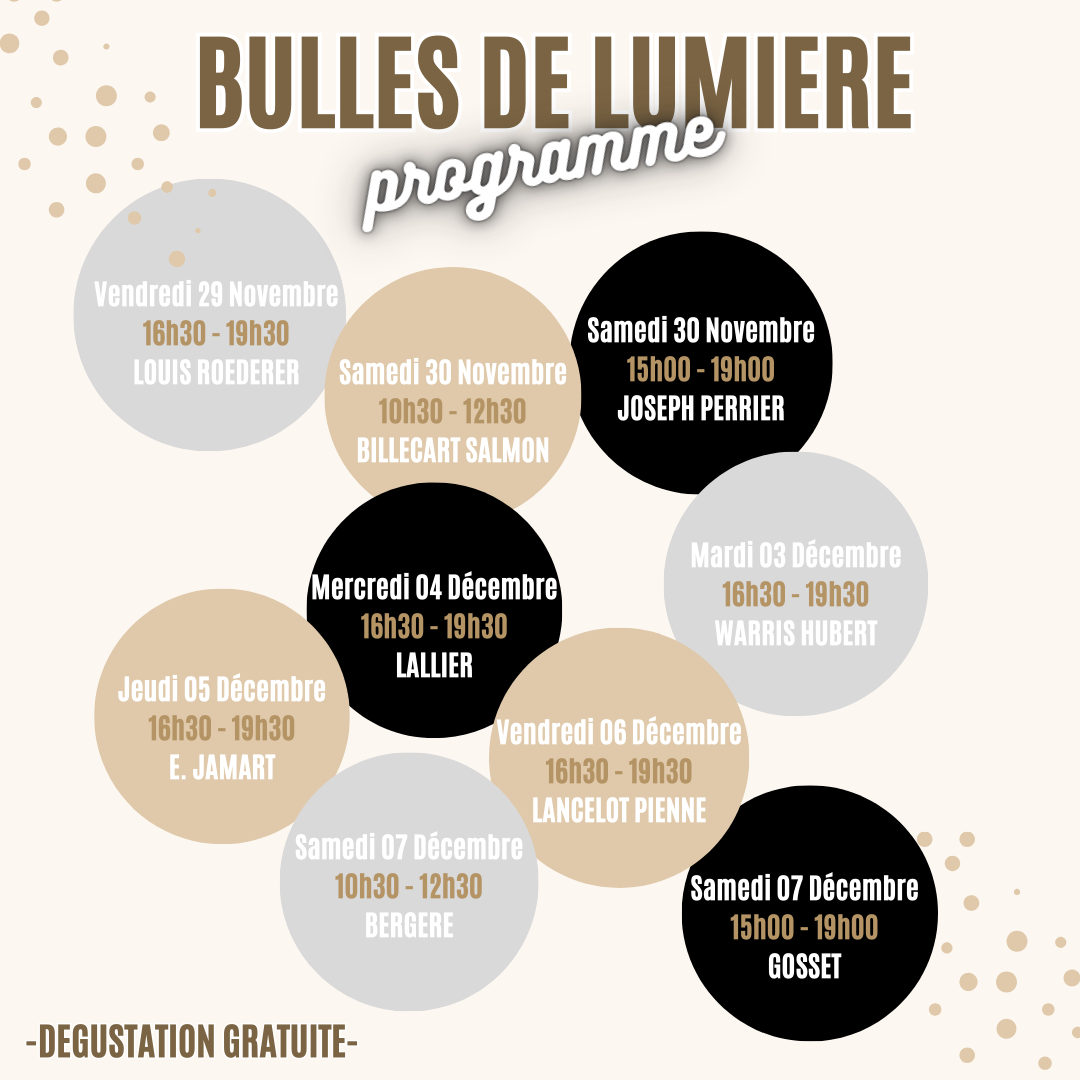 Du Vendredi 29 Novembre au Samedi 07 Décembre 2024 – Bulles de lumière