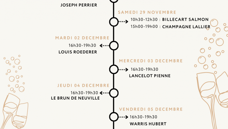 Du Vendredi 28 Novembre au Samedi 06 Décembre 2025 – Bulles de lumière